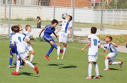 Развитию физкультуры и спорта уделит особое внимание комитет по социально-культурному законодательству